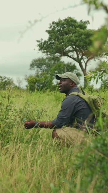 @Thornybush