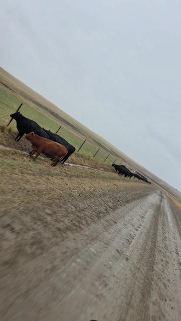 @1HANDNFARMING 🦾🌾🐂🚜
