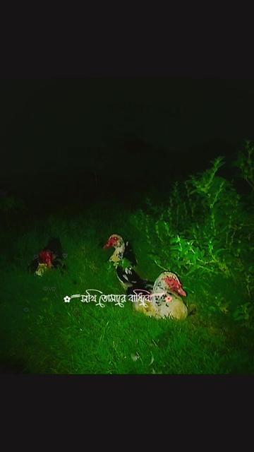 @মেঘলা আকাশ