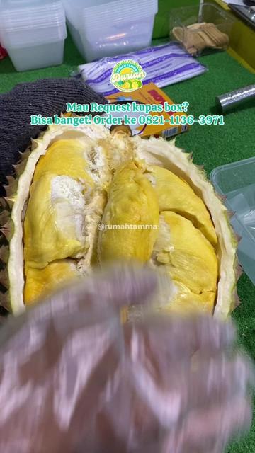 @Rumah Tamma Durian