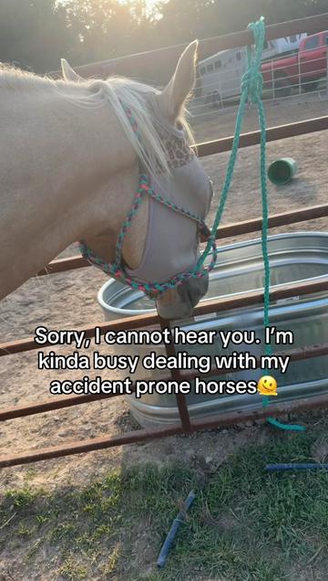 @Ciera