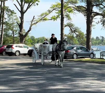 @southerncharmcarriages