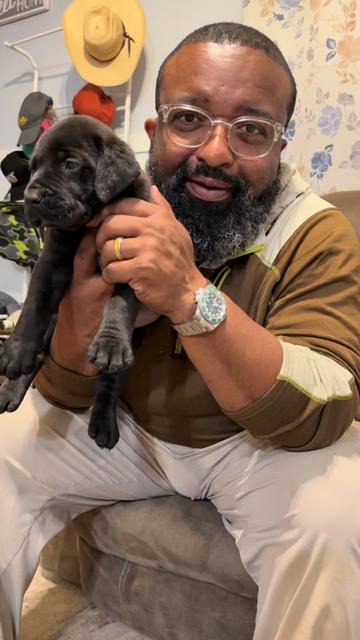 @kyboerboels