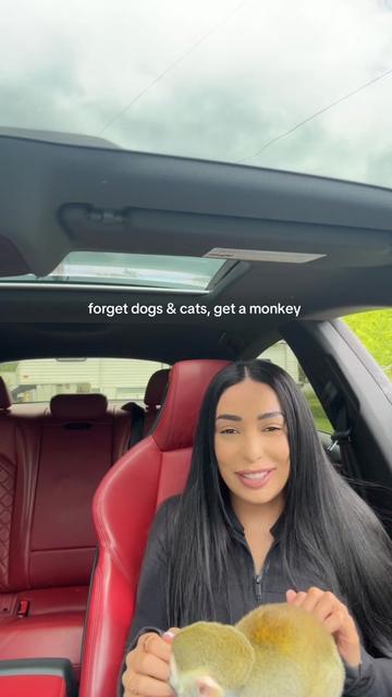 @Mandeep Sahota