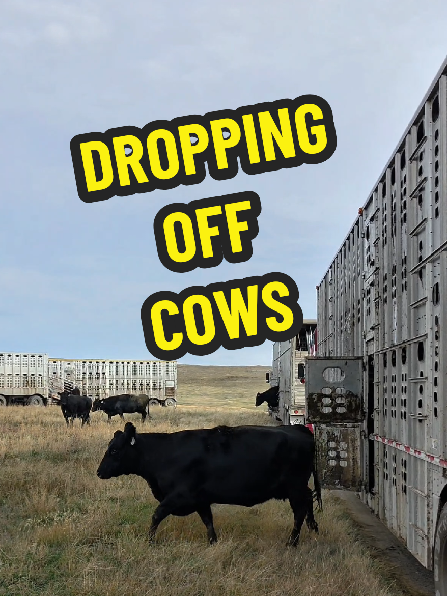 @1HANDNFARMING 🦾🌾🐂🚜