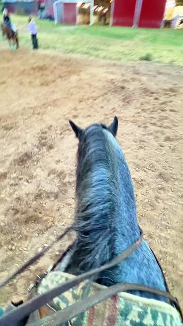 @Lucky D Ranch 🍀
