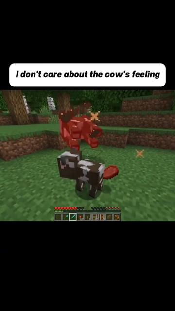 @S H A W N
