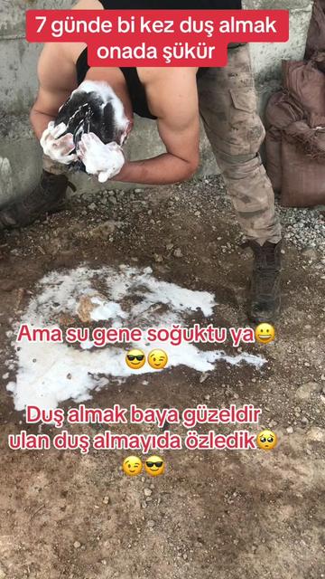 @Kalbim zengindir 😂Bozkurt 😎