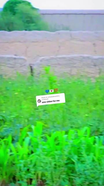 @༼ ❌↗ 𝙎𝘿𝙍.spinwal ↖ ༽❌