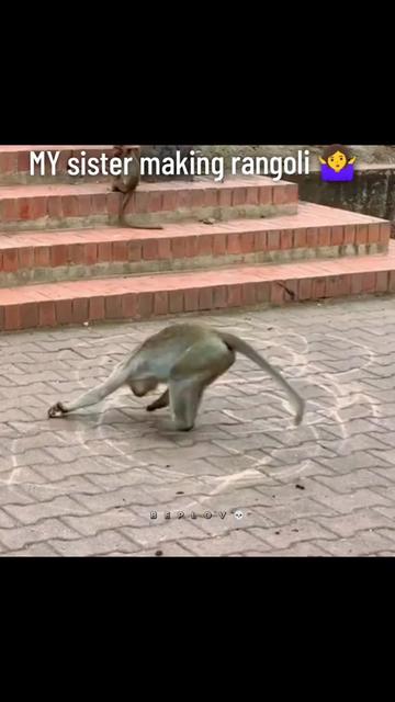 @Sandip😊