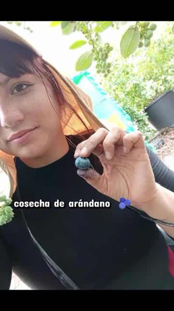 @TAMARA JARA MORAN ❤️🇨🇱