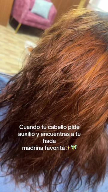 @Anabel Toro C