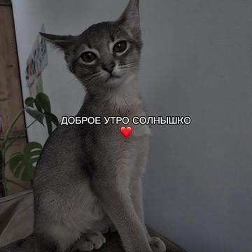 @ХХИКА