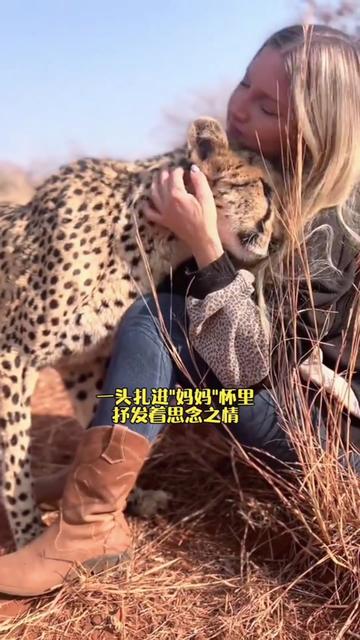 @歐復生 (妖狐）