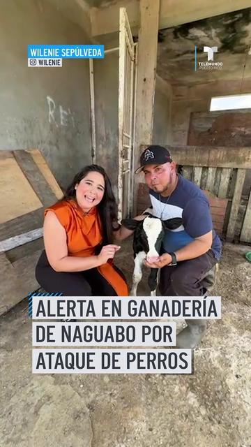 @Telemundo PR