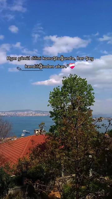 @𝙉𝙞𝙣𝙛𝙖  🦋⃤