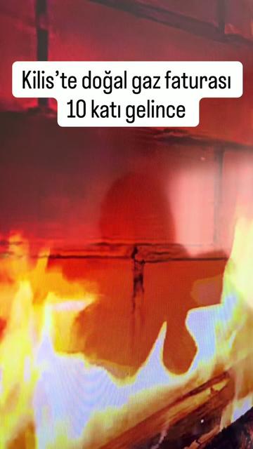 @anilkaraylan