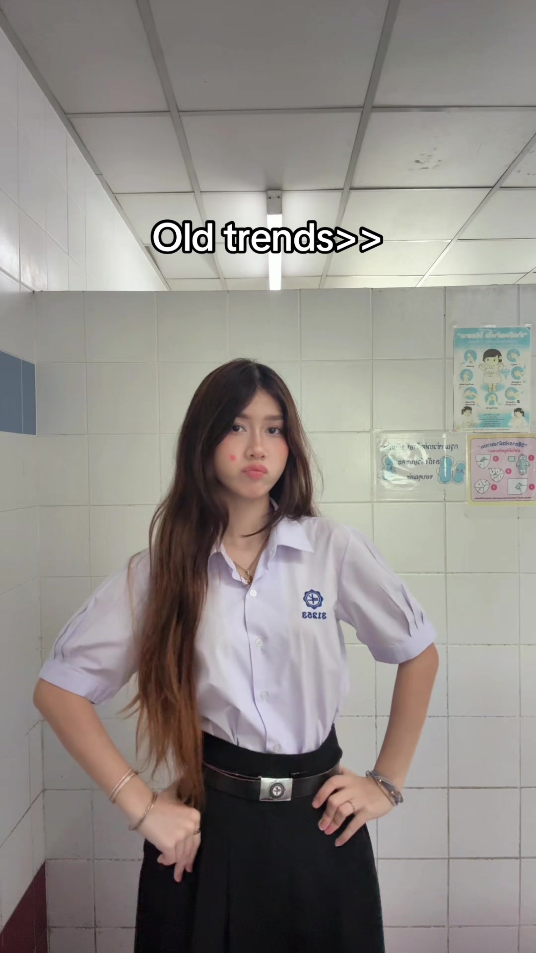 @เมเปิ้ลที่ไม่ใช่ต้นไม้