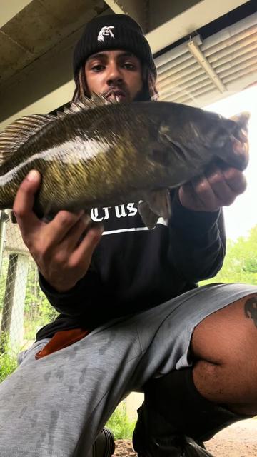 @Smokinbassfishing