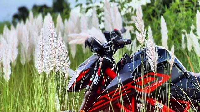 @TORQUE_250 💀
