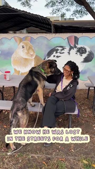@Oakland Animal Services
