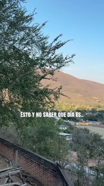 @mustbella𐙚