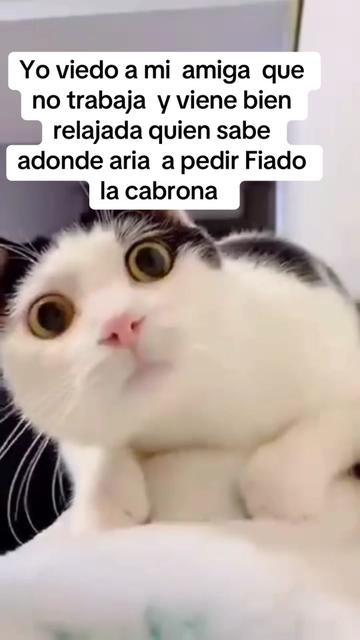 @Alma Baez295