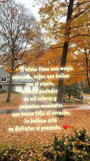 @🍂🍁🌻OTO&Ntilde;O 🌻🍂🍁
