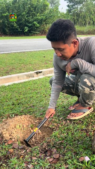 @Dusun Cikgu Mail