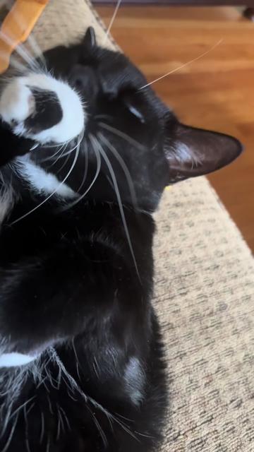 @Norberto Norberto Henr&iacute;quez