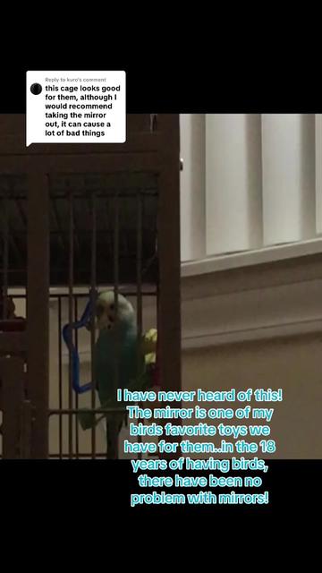 @The budgie trio