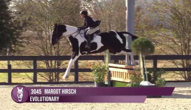 @Margot Hirsch, DVM