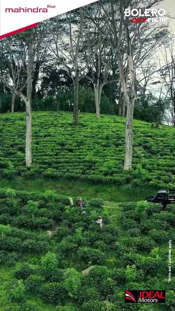 @Ideal Mahindra