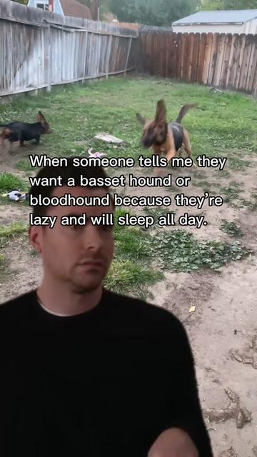 @ruledbyhounds