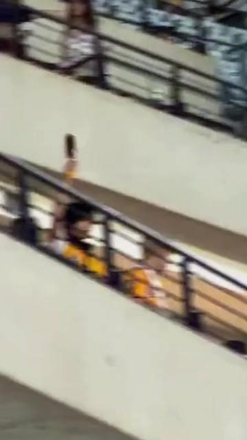 @앰프
