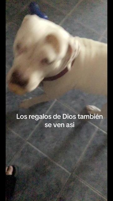 @Curvaspeligrosas33