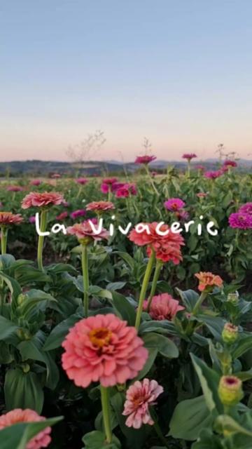 @La Vivacerie
