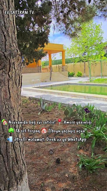 @NOVXANI BAĞLARI