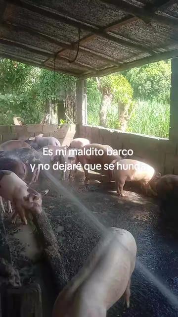 @La cubana Oficial