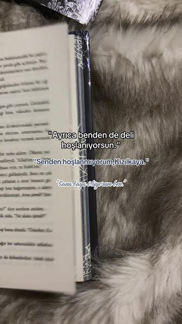 @zerenwme