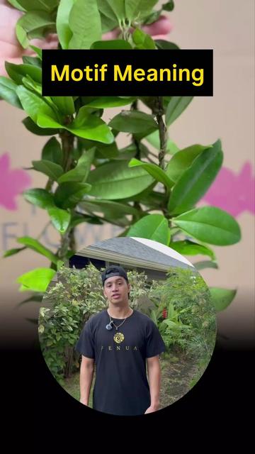 @F E N U A
