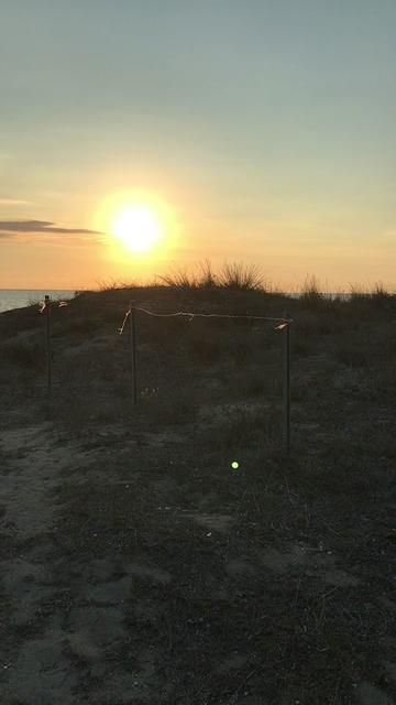 @Fabio.Sicily
