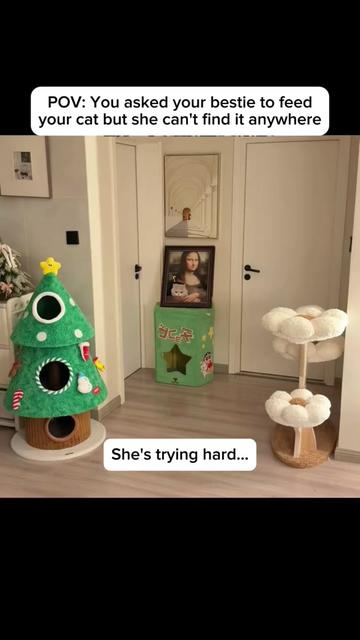 @Purrfect Oasis
