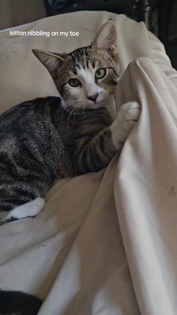 @Sonia&Rosieroo♥️🐾