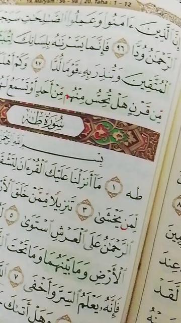 @🇵🇸Lynn | سهارزلين🍉