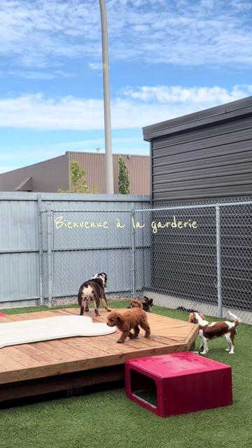 @centrecanindesruisseaux