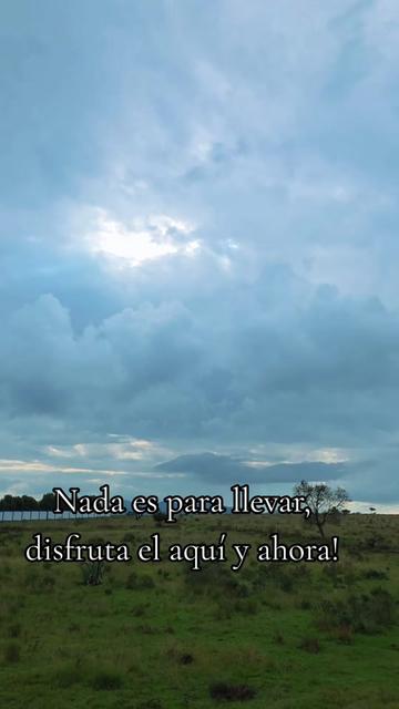 @leo_goncas