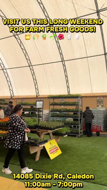 @GillFarm_Caledon