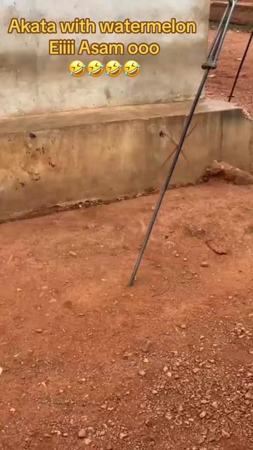 @jur kawabanga