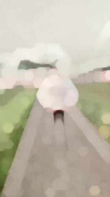 @Mم🕊️